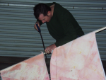 SFDBanner2