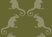 bettong-pattern