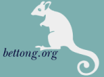 bettong